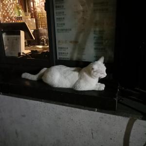 捆绑绳虐A片在线看
